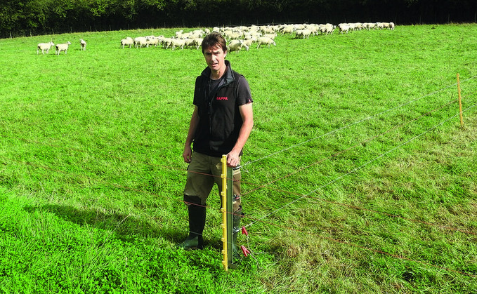 Soil health focus underpins quest for sustainable lamb production