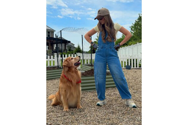 Tucker Budzyn, internet's favourite Golden Retriever, dies after cancer complications