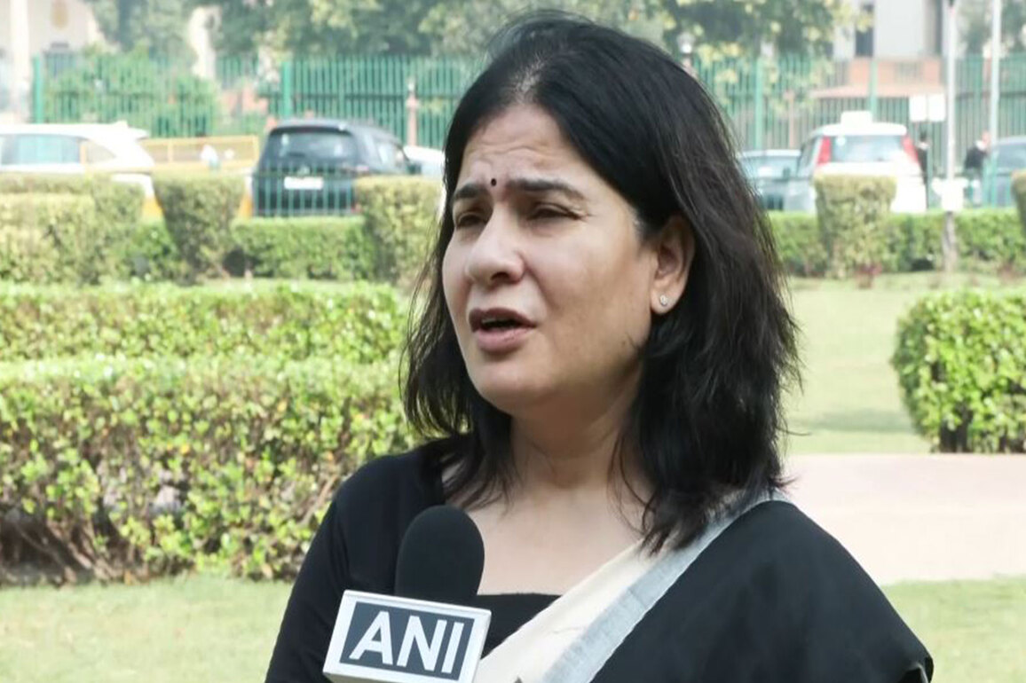 "The bench did not hear any party...": People for Animals India Trustee questions SC's stray dog order