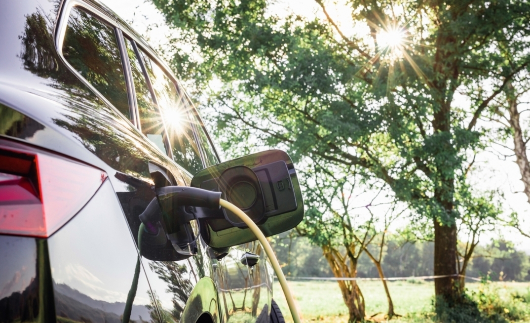 EV sales hit record highs, but limited options are holding ute buyers back.