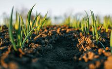 Government to allow businesses and researchers to dig into national soil data