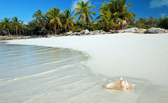 St Lucia joins cluster of Caribbean islands in investment citizenship ban on Russians