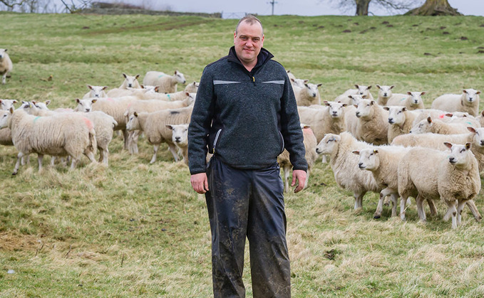 Sheep special: Meeting the challenge of finishing organic lambs without concentrates