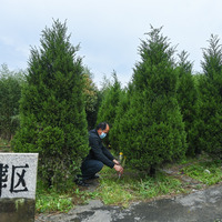 Eco-friendly burials in China honoring life beyond death