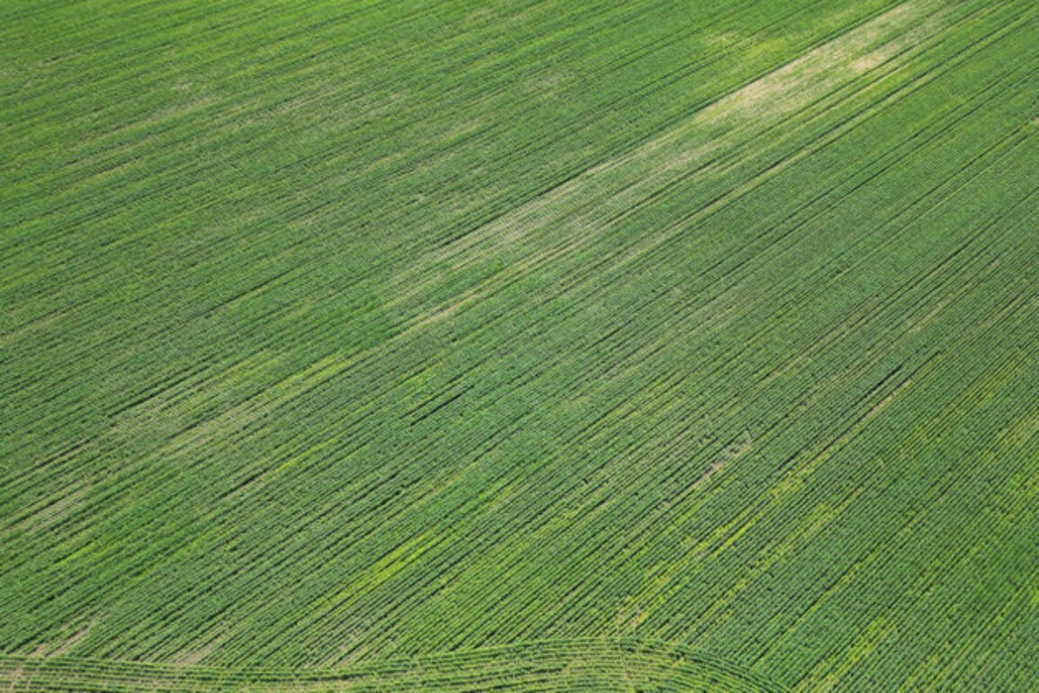 Declining Agricultural Land Prices in Bulgaria: A Trend Set to Last