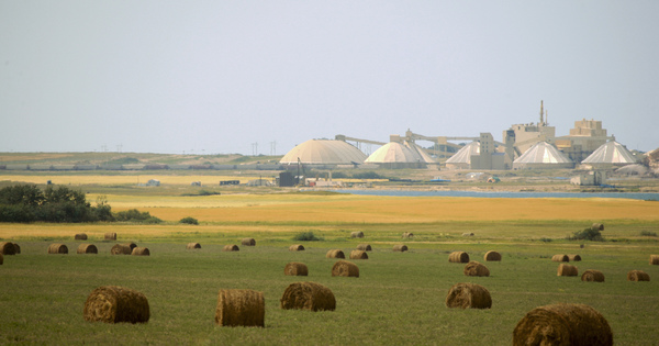 Trump threatens 'severe tariffs' on Canadian fertiliser