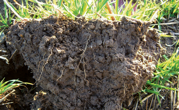 New guidance marks step towards soil carbon standardisation