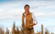 Talking Agronomy with Jo Bell: It is amazing how well backward crops have caught up but the rain was too late for some