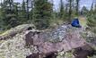 Mineralised outcrop at the CV15 pegmatite