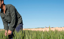  Kalannie grower Bob Nixon has been presented with the 2019 GRDC western region Seed of Light award. Image: Evan Collis Photography.