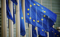 Global Briefing: Green groups warn against allowing offsets to help meet EU 2040 climate target