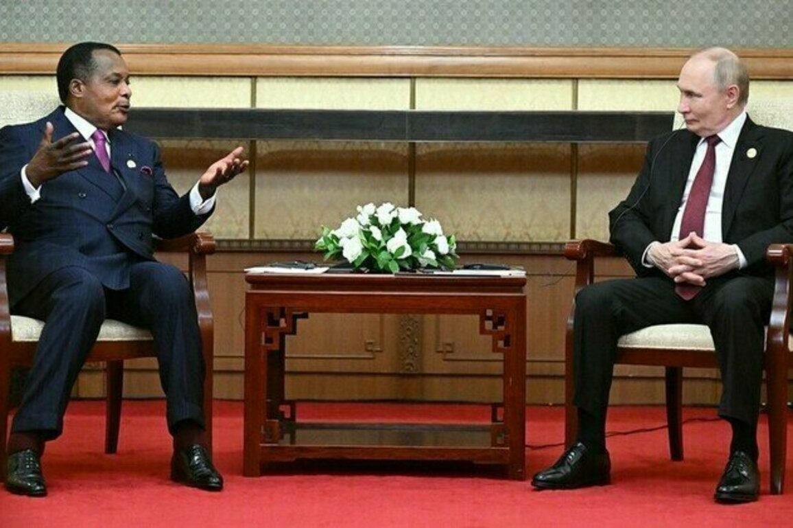 Congo a time-tested partner  Putin 