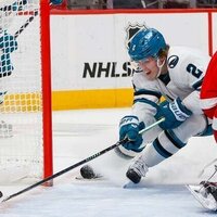 Panthers make rare January home appearance as Sharks invade