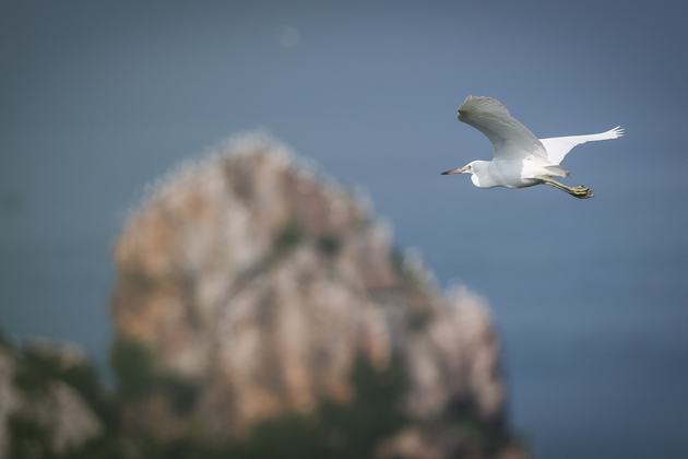 (EcoChina) CHINA-LIAONING-DALIAN-CHANGSHAN ARCHIPELAGO (CN)