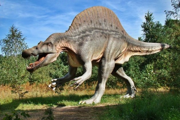 Study: Dinosaurs takes over amid ice not warmth