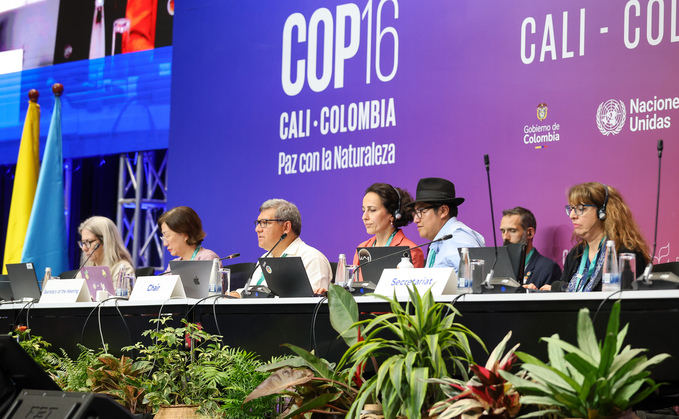 The dias of Working Group II of COP16 on 31 October | Credit: Earth Negotiations Bulletin