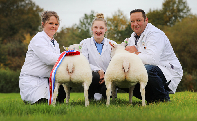 Beltex take the double at Agrifest   