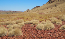  DGO's exploration portfolio includes ground in the Pilbara region of WA