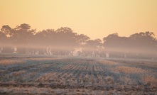  Applying clethodim should be avoided in frosty conditions.