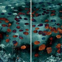Making Waves; Breaking Ground: a luminous show that reveals the interconnectedness of nature