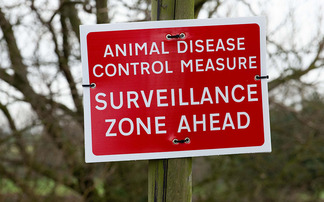 Bluetongue spreads to Suffolk for first time in 6 months