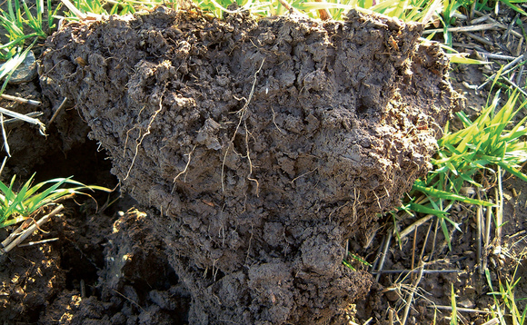 Is connectivity the secret to healthy soils?