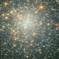 Could gravity be evidence that the universe is a computer simulation? My new study suggests so