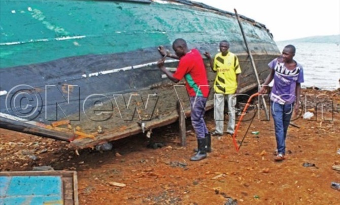 Fishermen decry scarcity of boat-building timber Fishermen decry scarcity of boat-building timber