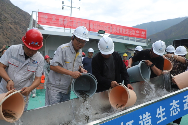 CHINA-SICHUAN-FISH RESTORATION (CN)