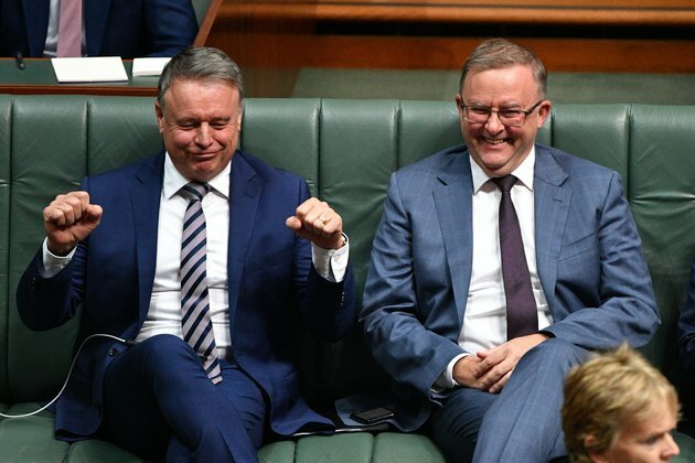 Fitzgibbon is quitting politics but this doesn&#039;t mean Albanese can party