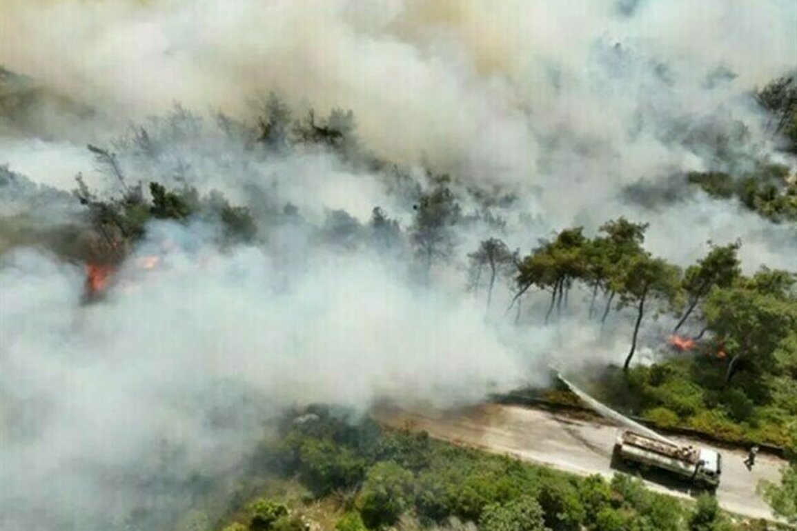 Syria Battles Massive Fires amid Conflict, Climate Strain