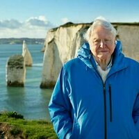 From Zoo Quest to Ocean: The evolution of David Attenborough's voice for the planet