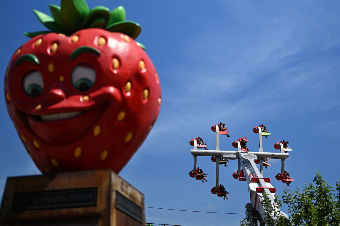 GERMANY-STRAWBERRY-ASPARAGUS-TOURISM