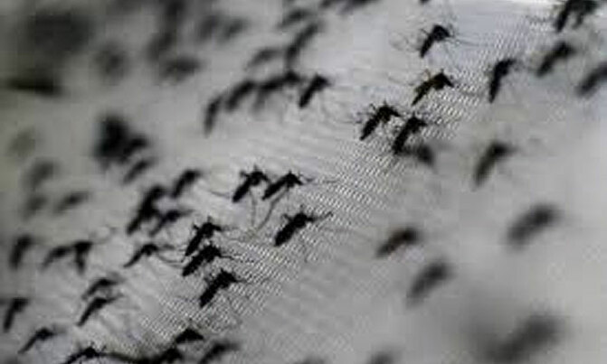 'President and MPs, bring leadership to malaria fight' 'President and MPs, bring leadership to malaria fight'