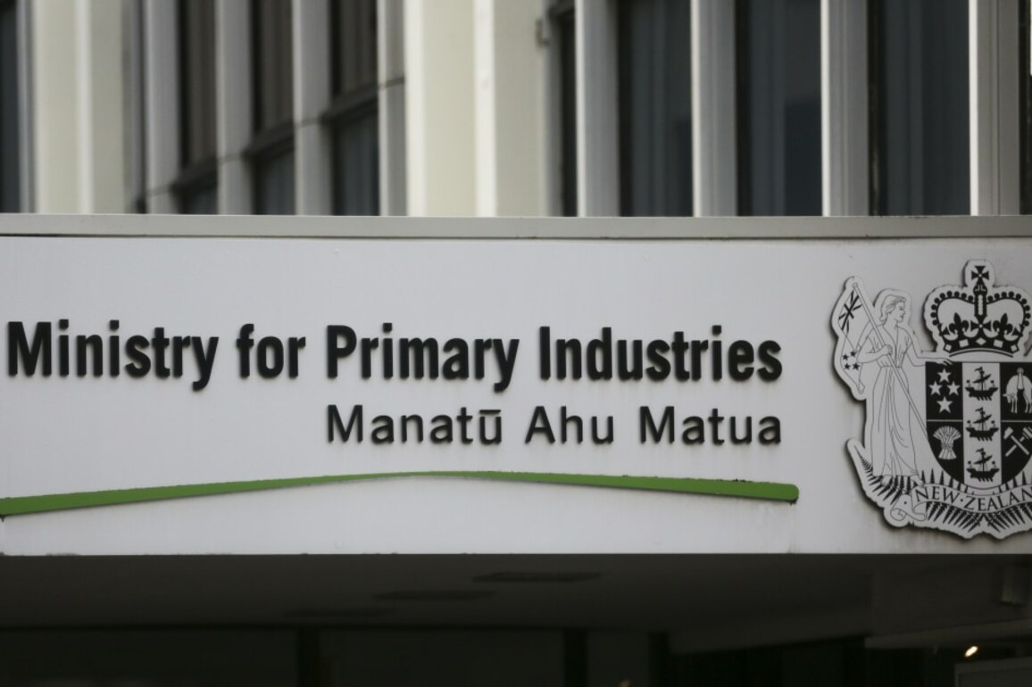MPI's consultant spend halved, still $40m in FY2024