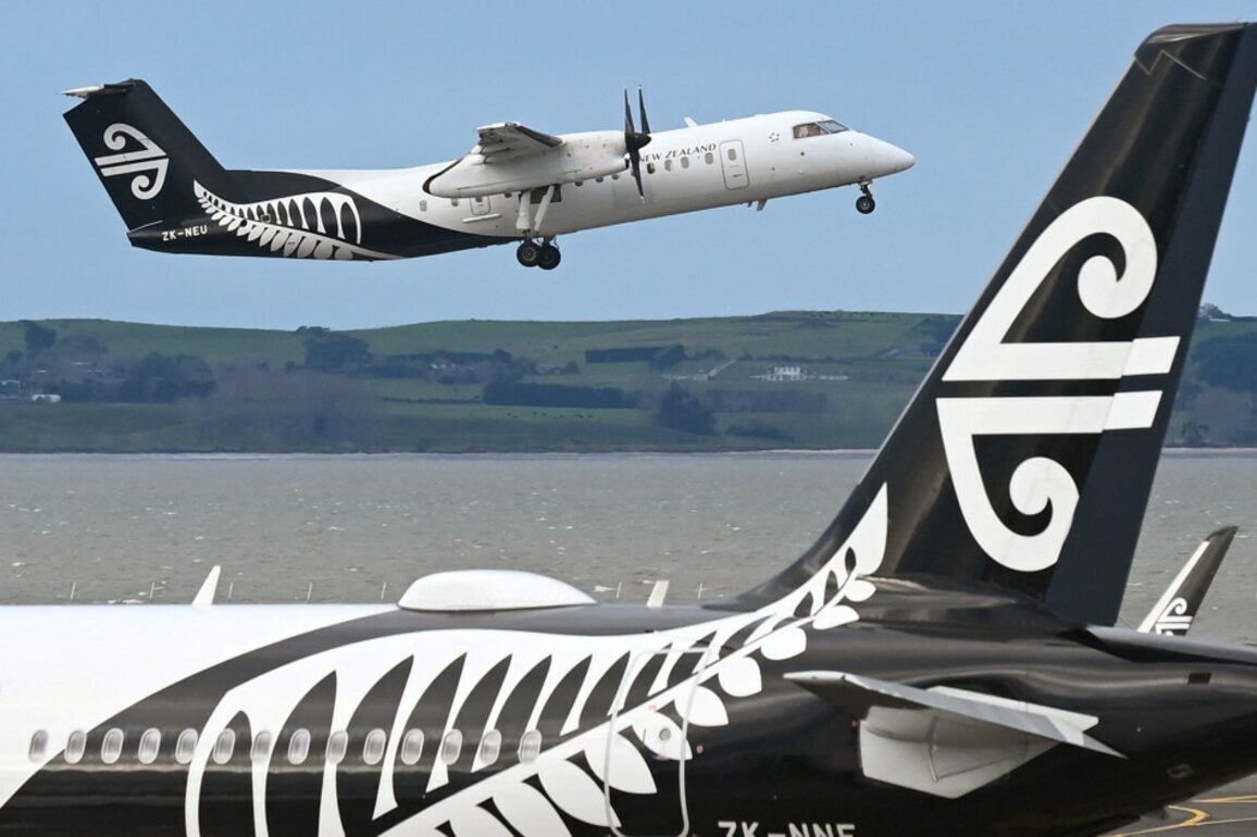 Cheaper to fly to LA than buy Air New Zealand domestic fares - angry dad