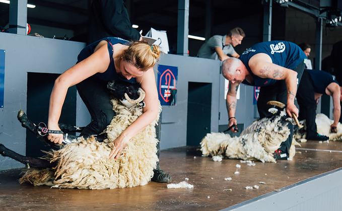 Shearers urged to enter 2023 Golden Shears World Sheep ShearingChampionship