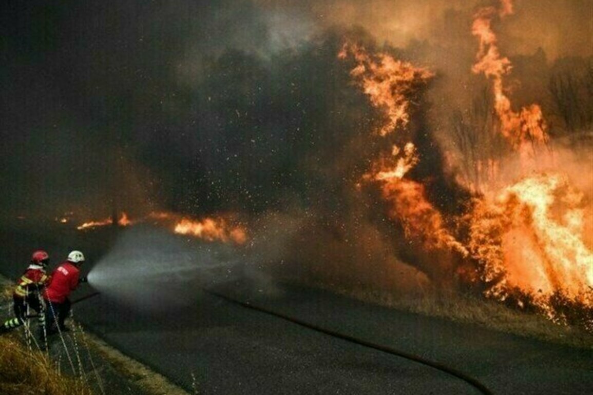 Portugal Wildfires Rage As 1,500 Firefighters Battle Blazes