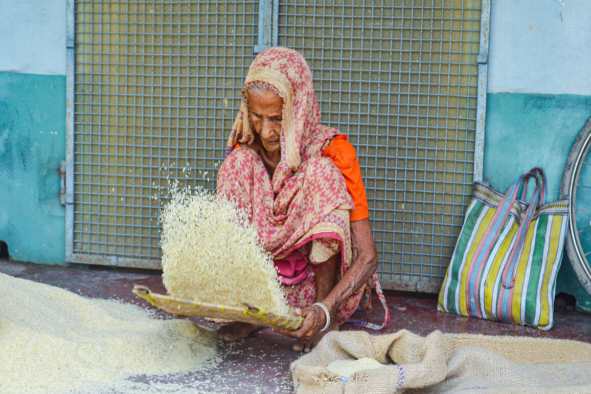 Pilibhit in UP to get India's first integrated Basmati, organic training-cum-demo farm