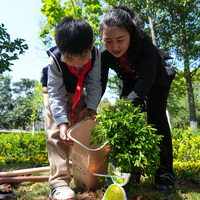 CHINA-YUNNAN-KUNMING-TREE PLANTING (CN)