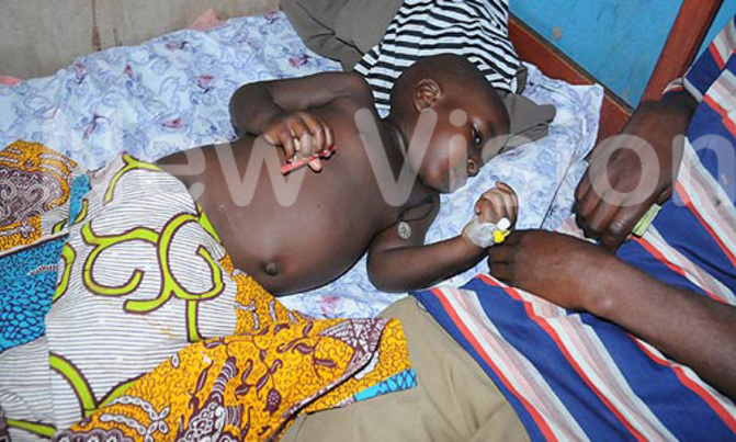 Kibaale chimpanzee abducts child Kibaale chimpanzee abducts child