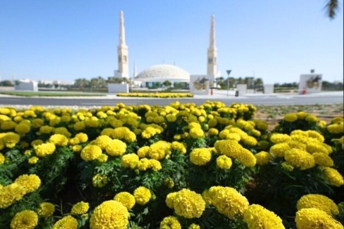Al Ain Municipality plants over five million seasonal flowers annually