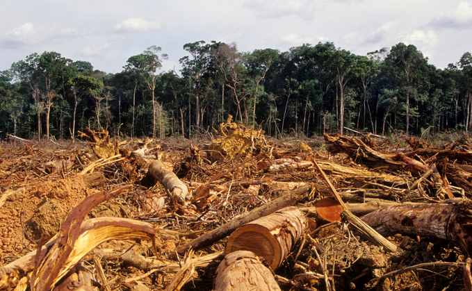 Ending deforestation won't stop carbon emissions from land use change