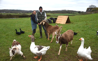 Pygmy goats, pigs and pumpkins – multiple enterprises vital to success of new entrants