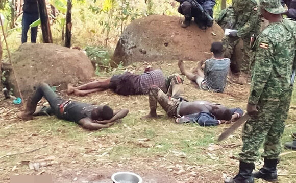 Amagye nga gazinzeeko enfo omubadde mutenderwa ababbi mu kibira kye Kapcheli. Amagye nga gazinzeeko enfo omubadde mutenderwa ababbi mu kibira kye Kapcheli.