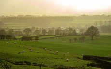 Eustice announcement on new ELM schemes leaves farmers in the dark