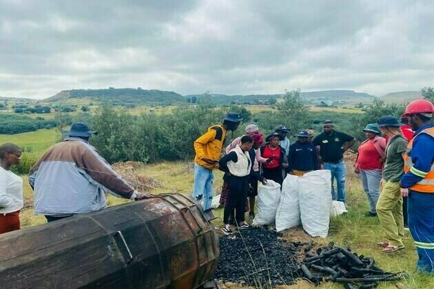 Black wattle as firewood: how South African communities are putting invasive species to work