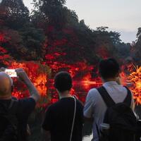 Asia Album: Highlights of light show in Singapore
