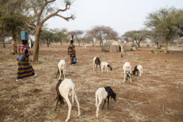 Partnership makes strides in promoting sustainable land management in Africa