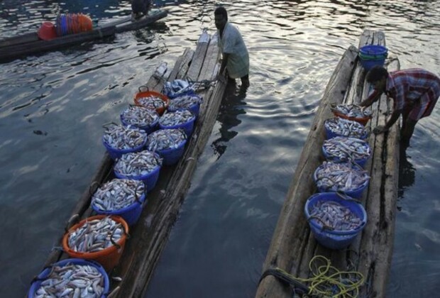 14 Indian fishermen held by Sri Lankan Navy